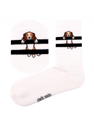 Beyaz Soket Tenis Beagle Köpekli Çorap